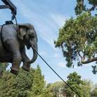 <p>Stefano Bombardieri - Marta and the Elephant - Fiberglass - !80 x 500 x 270 h. cm.</p>